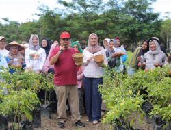 Program GENCAR 2026, Bukti Komitmen Gubernur Babel Sukseskan Program Ketahanan Pangan