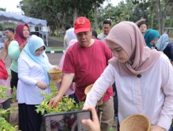 Gubernur Hidayat Arsani Dorong Pengendalian Inflasi melalui Gerakan Tanam Cabai