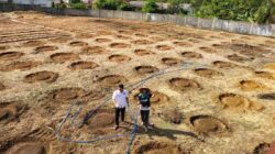 Caption : Lahan kosong di belakang rumah dinas Wabup Bangka Barat, Yus Derahman disulap jadi kebun produktif. (Ist)