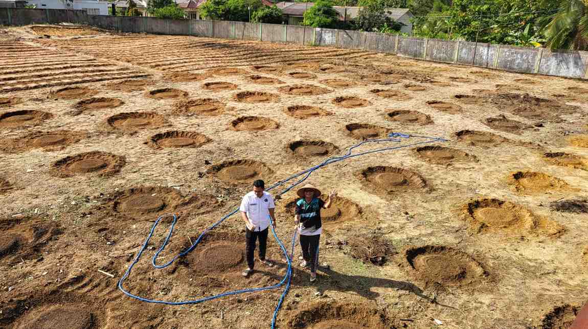 Caption : Lahan kosong di belakang rumah dinas Wabup Bangka Barat, Yus Derahman disulap jadi kebun produktif. (Ist)
