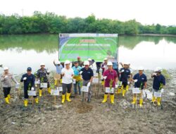 Bersama Pemkab Bangka, PT Timah Tanam Pohon di Kolong AKHLAK Air Kantung