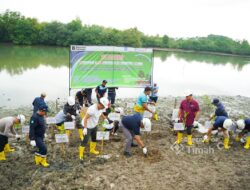 Kolaborasi PT Timah, Pemkab Bangka dan Warga Ubah Kolong AKHLAK Jadi Kawasan Produktif