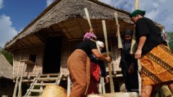 Cerita dari Mapur: Di Gebong Memarong, PT Timah Membersamai Jejak Adat yang Terus Terjaga