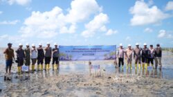 Dari Pesisir Beltim, PT Timah dan Masyarakat Kompak Tanam Mangrove di Pantai Mudong