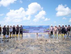 Dari Pesisir Beltim, PT Timah dan Masyarakat Kompak Tanam Mangrove di Pantai Mudong