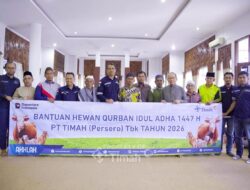 PT Timah Kembali Distribusikan Hewan Kurban, Bupati Bangka Tengah: Bentuk Kepedulian yang Konsisten