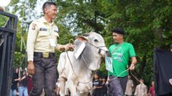 Hangatnya Kebersamaan Idul Adha di Komplek PT Timah, Ribuan Paket Daging Dibagikan untuk Warga