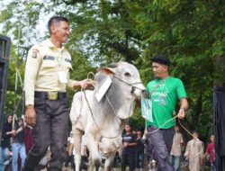 Hangatnya Kebersamaan Idul Adha di Komplek PT Timah, Ribuan Paket Daging Dibagikan untuk Warga