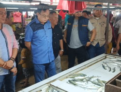 Bupati Bangka Barat Sidak Pasar Parittiga, Markus : Harga Masih Stabil