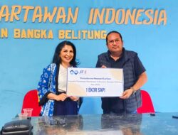 Iduladha 1447 H, JFX Salurkan Bantuan Sapi Kurban ke PWI Babel