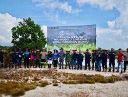 Momen Hari Lingkungan Hidup, PT Timah Tanam Ratusan Pohon di Sempadan Sungai Romodong