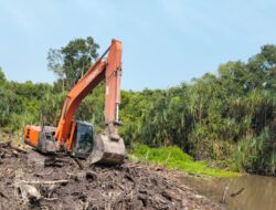 Proyek Sawit dan Pabrik CPO di Tumbak Petar Disorot, DAS Sungai Buton Dikeruk