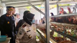 Kakanwil Imipas Kepulauan Bangka Belitung Ade Agustina didampingi Kepala Rutan Kelas IIB Muntok Andre Ferly panen telur dari 700 ekor ayam di Rutan Muntok, Selasa (15/9/2026). (Ist)
