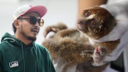 Karhutla Ancam Satwa Liar, PT Timah Gandeng PPS Alobi Perkuat Penyelamatan di Bangka Belitung