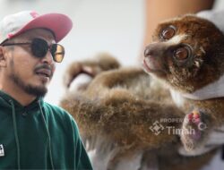 Karhutla Ancam Satwa Liar, PT Timah Gandeng PPS Alobi Perkuat Penyelamatan di Bangka Belitung