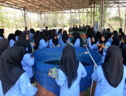 Belajar Pengelolaan Lahan Bekas Tambang, Siswa SMK IT Jamalullail Berkunjung ke Kampoeng Reklamasi Air Jangkang PT Timah