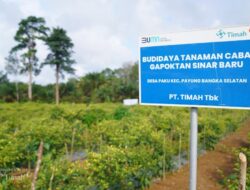 Dari Pertanian hingga Perikanan, PT Timah Turut Dukung Ketahanan Pangan Lokal